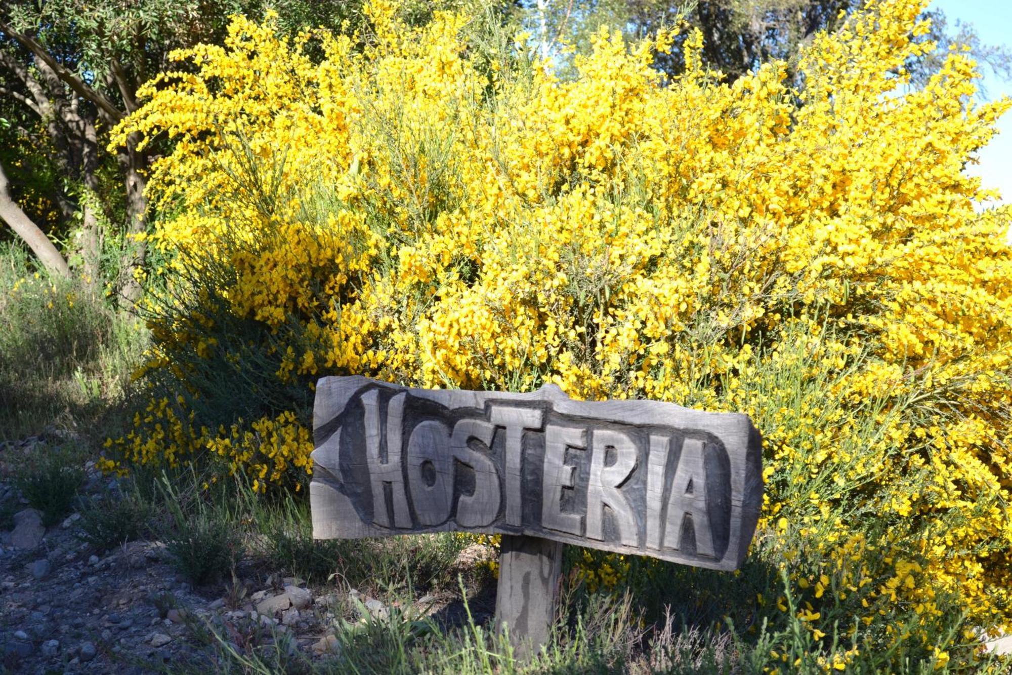 Sieteflores Hosteria De Montana San Martin de los Andes Exterior photo